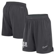 Michigan State Nike Dri-fit Sideline Mesh Shorts